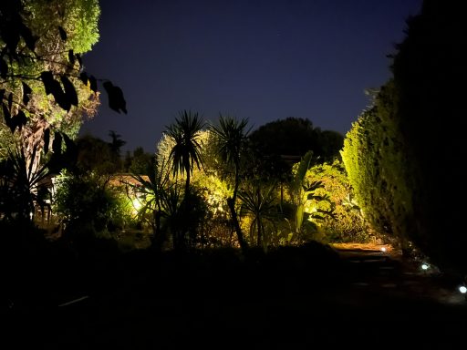 Jardin/Nuit